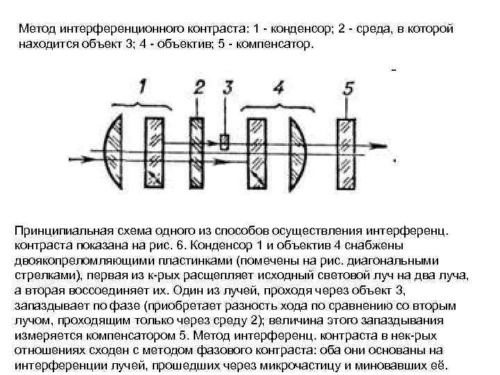 Метод интерференционного контраста: 1 - конденсор; 2 - среда, в которой находится объект 3; Метод интерференционного контраста: 1 - конденсор; 2 - среда, в которой находится объект 3;