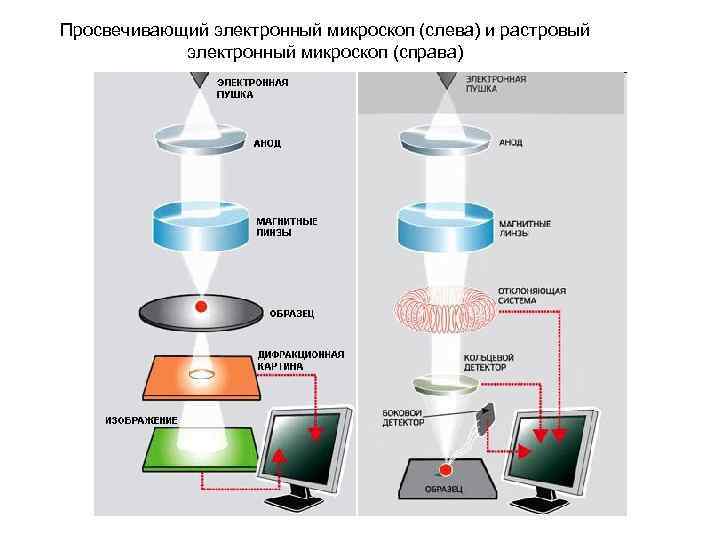 Просвечивающий электронный микроскоп схема