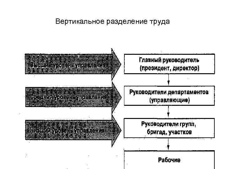 Вертикальное разделение труда Вертикальное разделение труда