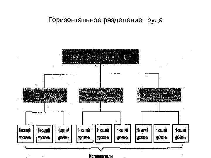 Горизонтальное разделение труда Горизонтальное разделение труда