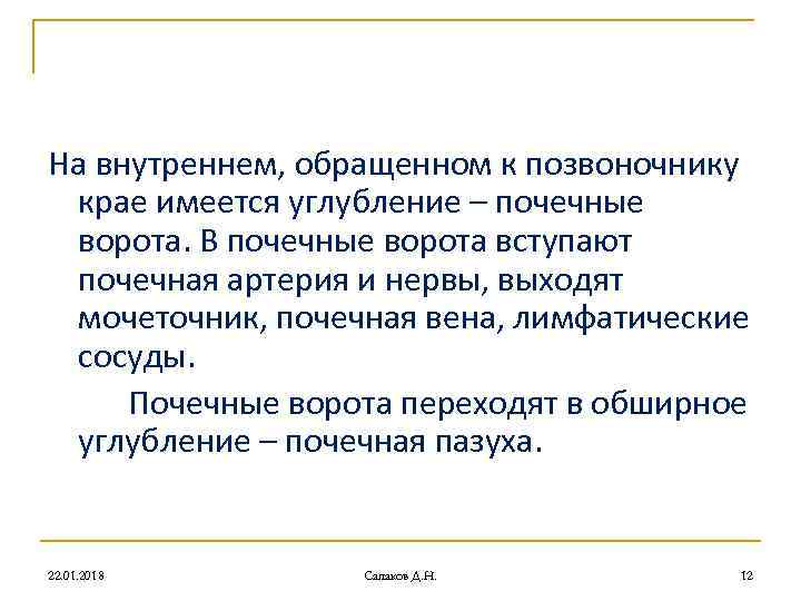 На внутреннем, обращенном к позвоночнику крае имеется углубление – почечные ворота. В На внутреннем, обращенном к позвоночнику крае имеется углубление – почечные ворота. В