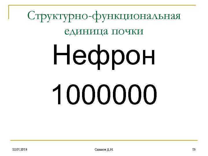 Структурно-функциональная единица почки Нефрон Структурно-функциональная единица почки Нефрон