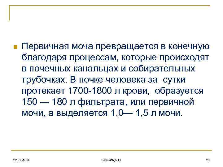 n Первичная моча превращается в конечную благодаря процессам, которые происходят в n Первичная моча превращается в конечную благодаря процессам, которые происходят в