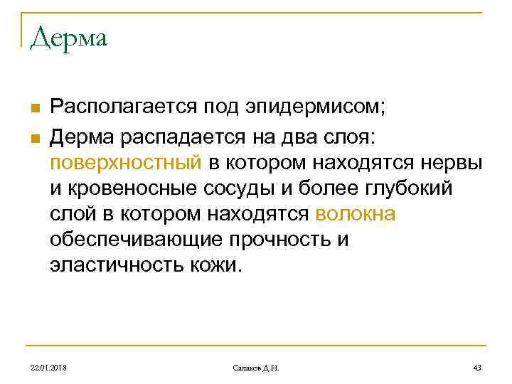 Дерма n Располагается под эпидермисом; n Дерма распадается на два слоя: Дерма n Располагается под эпидермисом; n Дерма распадается на два слоя: