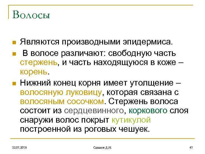 Волосы n Являются производными эпидермиса. n В волосе различают: свободную часть стержень, Волосы n Являются производными эпидермиса. n В волосе различают: свободную часть стержень,