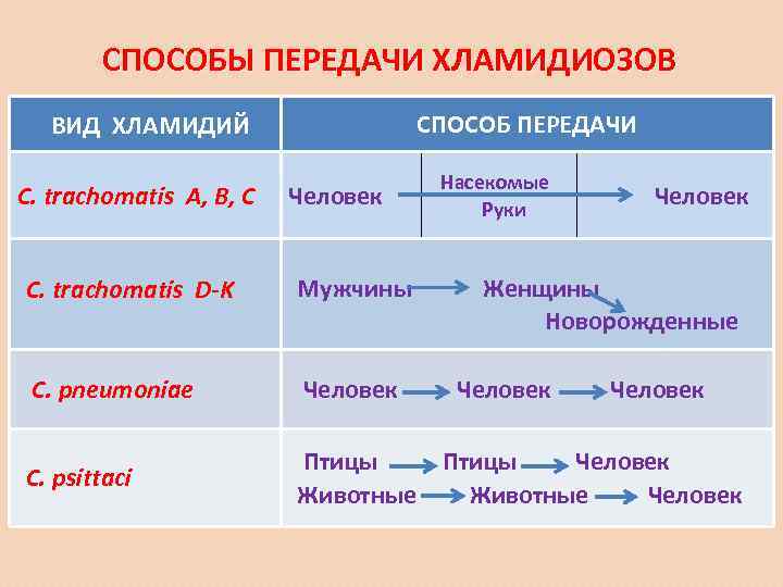   СПОСОБЫ ПЕРЕДАЧИ ХЛАМИДИОЗОВ  ВИД ХЛАМИДИЙ    СПОСОБ ПЕРЕДАЧИ 