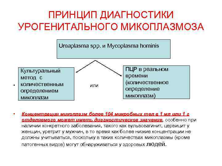    ПРИНЦИП ДИАГНОСТИКИ УРОГЕНИТАЛЬНОГО МИКОПЛАЗМОЗА    Ureaplasma spp. и Mycoplasma