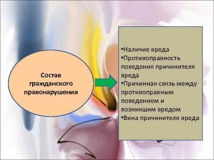    • Наличие вреда    • Противоправность   поведения