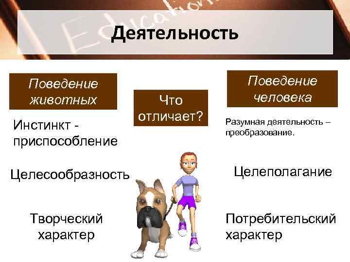    Деятельность  Поведение  животных  Что  человека 