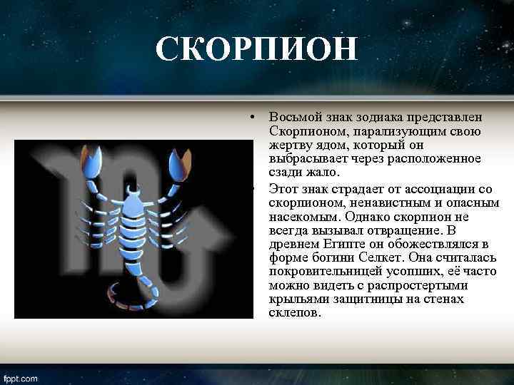 СКОРПИОН • Восьмой знак зодиака представлен  Скорпионом, парализующим свою  жертву ядом, который