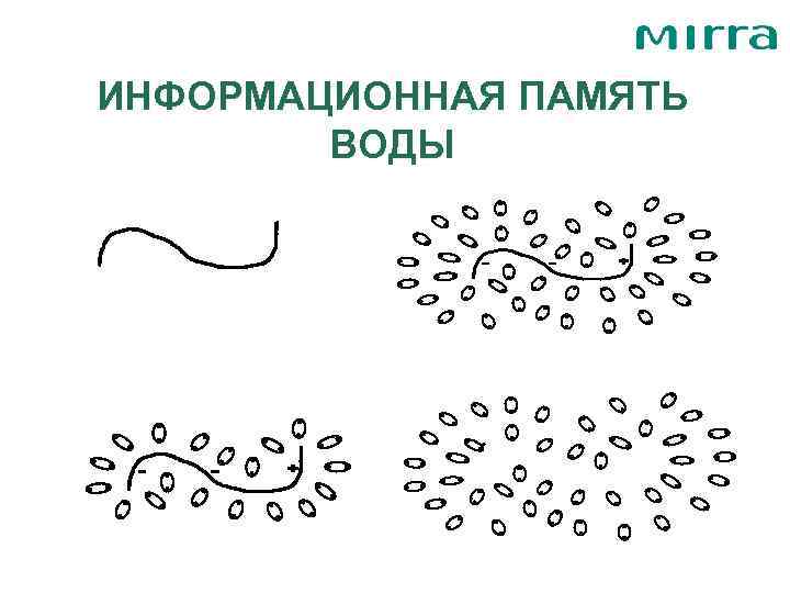 ИНФОРМАЦИОННАЯ ПАМЯТЬ   ВОДЫ 
