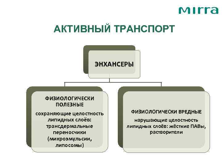  АКТИВНЫЙ ТРАНСПОРТ     ЭНХАНСЕРЫ  ФИЗИОЛОГИЧЕСКИ   ПОЛЕЗНЫЕ сохраняющие