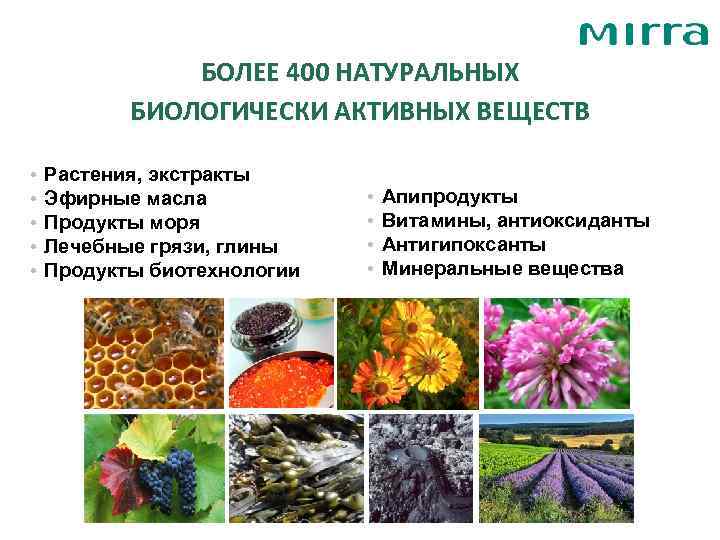     БОЛЕЕ 400 НАТУРАЛЬНЫХ  БИОЛОГИЧЕСКИ АКТИВНЫХ ВЕЩЕСТВ  • 