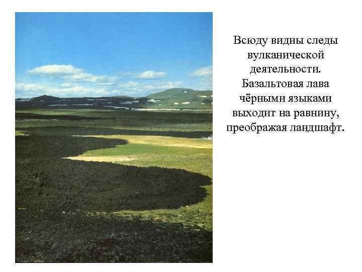 Всюду видны следы вулканической деятельности. Базальтовая лава чёрными языками выходит на равнину, преображая ландшафт.