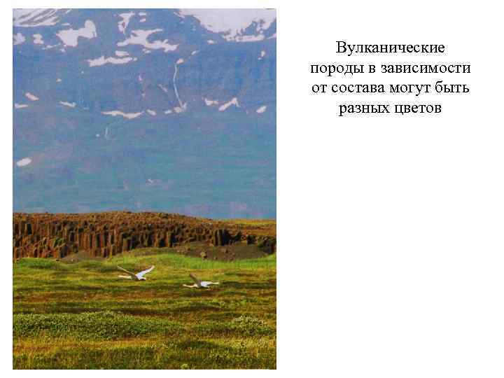 Вулканические породы в зависимости от состава могут быть разных цветов 