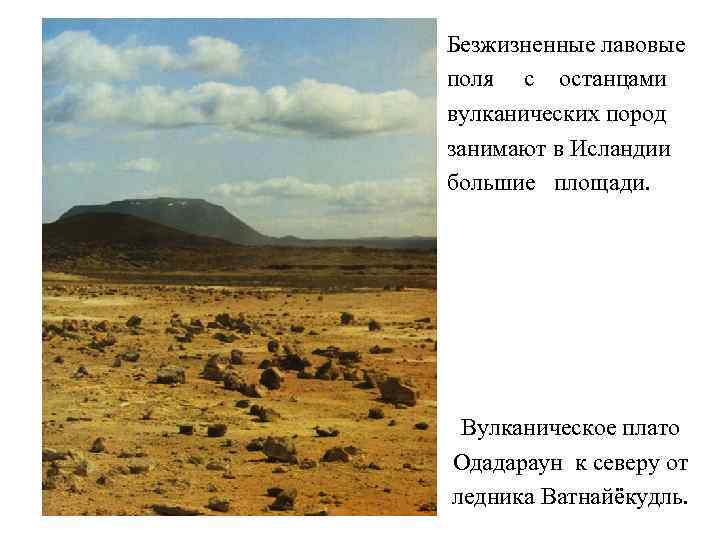 Безжизненные лавовые поля с останцами вулканических пород занимают в Исландии большие площади. Вулканическое плато