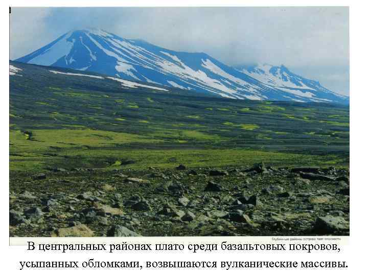 В центральных районах плато среди базальтовых покровов, усыпанных обломками, возвышаются вулканические массивы. 