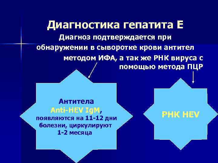  Диагностика гепатита Е Диагноз подтверждается при обнаружении в сыворотке крови антител 
