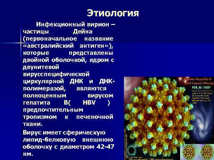    Этиология Инфекционный вирион – частицы  Дейна (первоначальное название «австралийский антиген»
