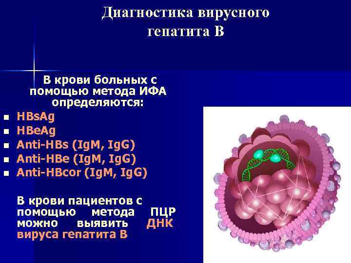     Диагностика вирусного     гепатита В  В