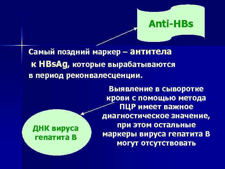      Anti-HBs Самый поздний маркер – антитела к HBs. Ag,