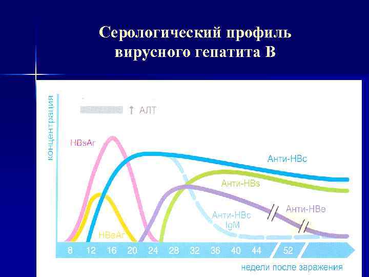 Серологический профиль  вирусного гепатита В 