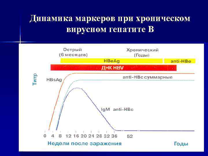 Динамика маркеров при хроническом  вирусном гепатите В 