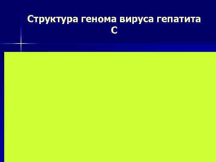 Структура генома вируса гепатита    С 