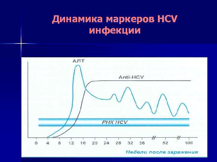 Динамика маркеров HCV  инфекции 