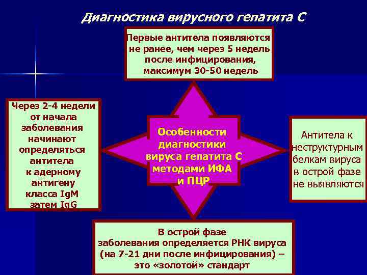    Диагностика вирусного гепатита С     Первые антитела появляются