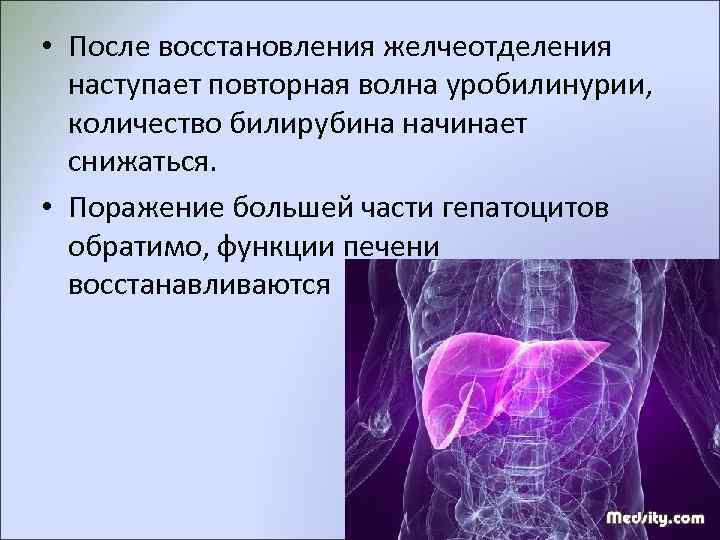  • После восстановления желчеотделения  наступает повторная волна уробилинурии, количество билирубина начинает 
