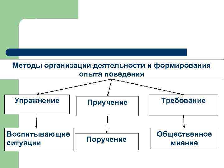 Методы организации деятельности и формирования опыта поведения