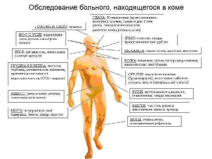 Схема субъективного обследования пациента