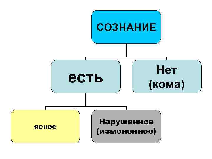   СОЗНАНИЕ      Нет   есть  