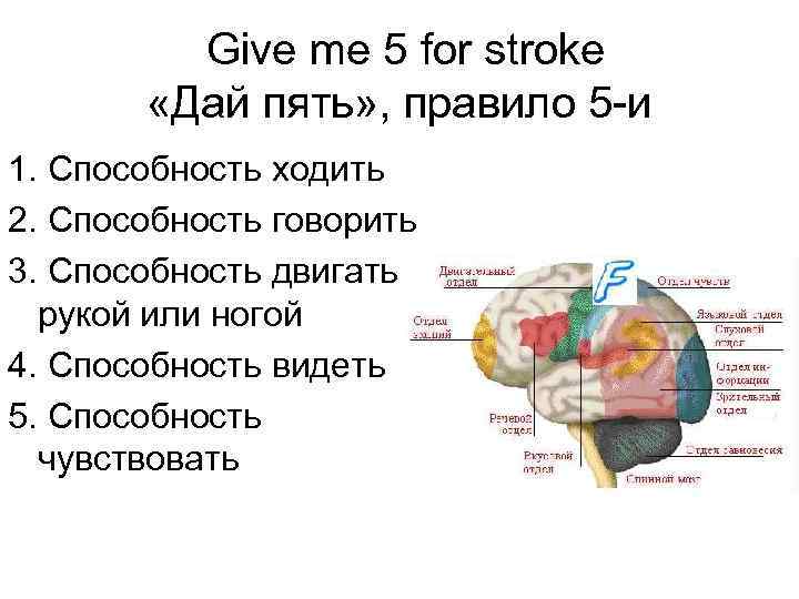    Give me 5 for stroke   «Дай пять» , правило