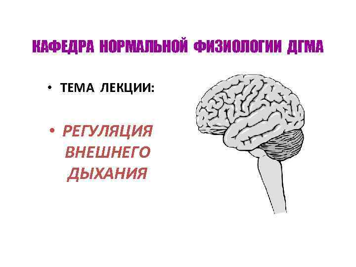 КАФЕДРА НОРМАЛЬНОЙ ФИЗИОЛОГИИ ДГМА  • ТЕМА ЛЕКЦИИ: • РЕГУЛЯЦИЯ  ВНЕШНЕГО ДЫХАНИЯ 