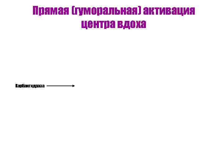   Прямая (гуморальная) активация   центра вдоха Карбангидраза 