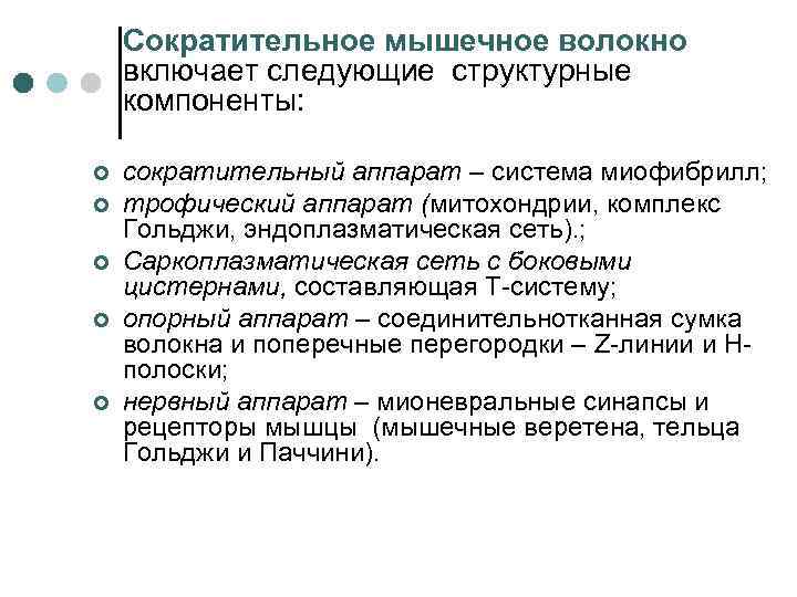   Сократительное мышечное волокно включает следующие структурные компоненты:  ¢  сократительный аппарат