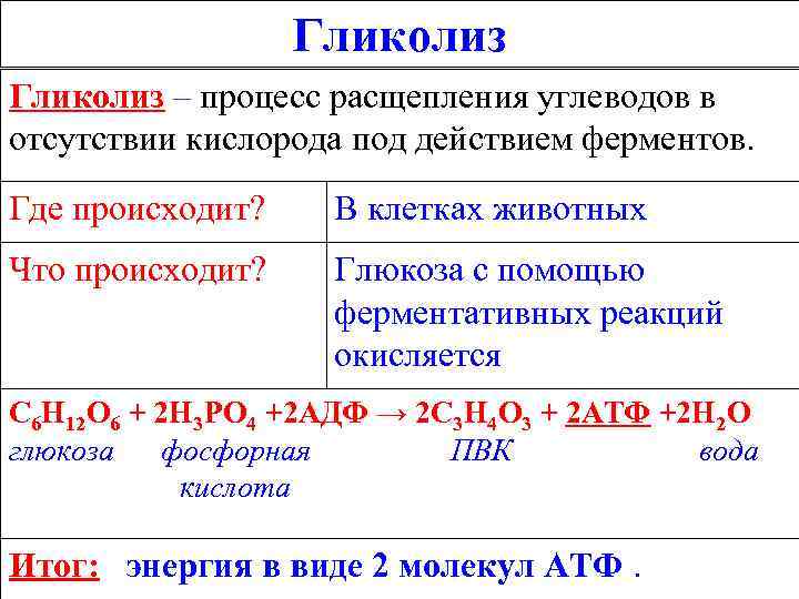    Гликолиз – процесс расщепления углеводов в отсутствии кислорода под действием ферментов.