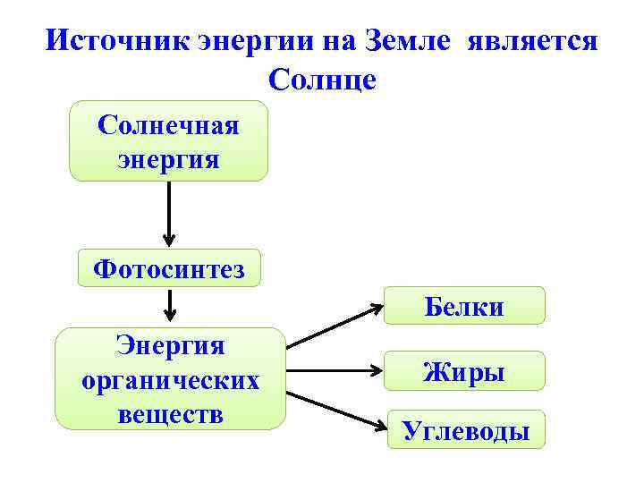 Источник энергии на Земле является   Солнце  Солнечная энергия Фотосинтез  