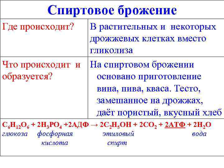   Спиртовое брожение Где происходит? В растительных и некоторых    дрожжевых