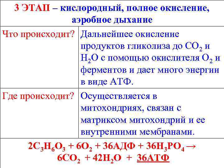 Схема процессов энергетического обмена