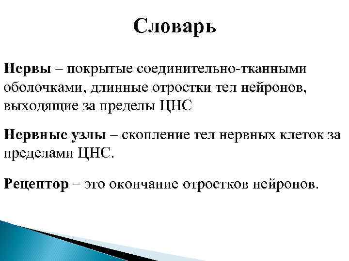   Словарь Нервы – покрытые соединительно-тканными оболочками, длинные отростки тел нейронов, выходящие