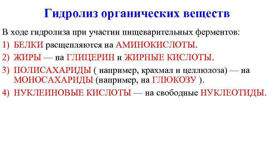   Гидролиз органических веществ В ходе гидролиза при участии пищеварительных ферментов: 1) БЕЛКИ