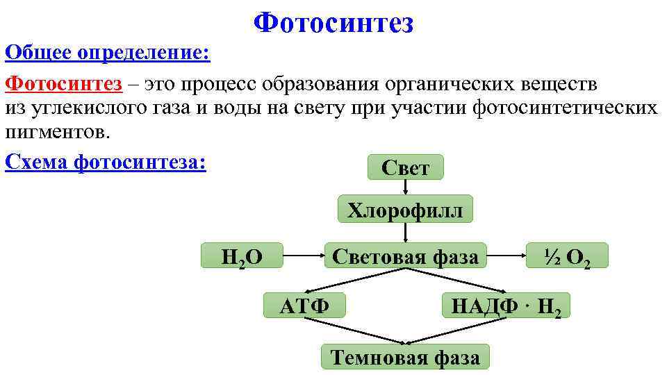     Фотосинтез Общее определение: Фотосинтез – это процесс образования органических веществ