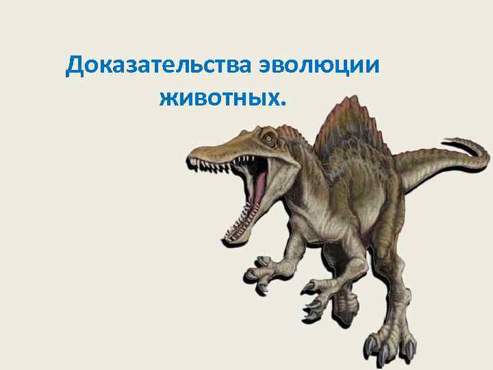 Доказательства эволюции   животных. 
