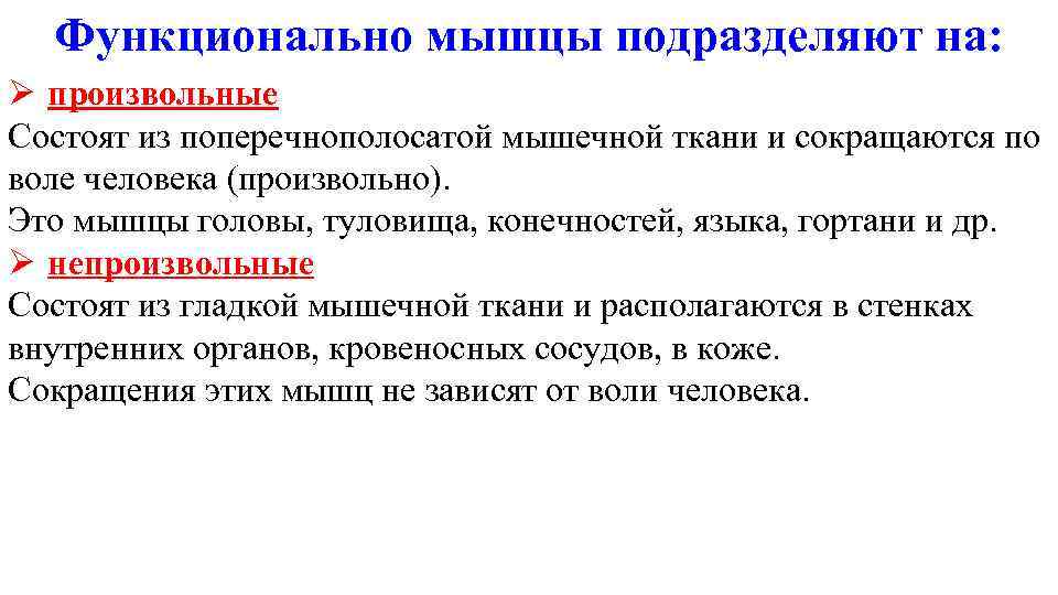 Органы сходные по общему плану строения но имеющие различную форму величину и приспособленность к