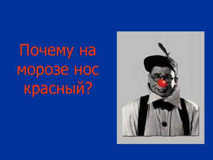 Почему на морозе нос красный? 