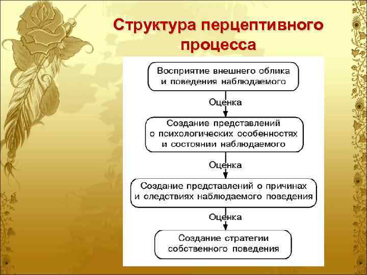Структура перцептивного  процесса 