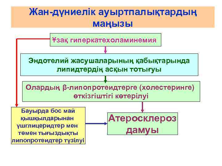  Жан-дүниелік ауыртпалықтардың   маңызы   Ұзақ гиперкатехоламинемия  Эндотелий жасушаларының қабықтарында